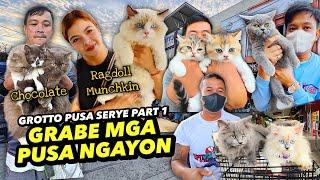 GRABEHAN MGA PUSA NGAYON | GROTTO PUSA SERYE PART 1 | JANUARY  05, 2025