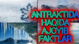 ANTARCTIDA HAQIDA AJOYIB FAKTLAR // АНТАРКИДА ХАКИДА АЖОЙИБ ФАКТЛАР