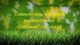 Стимуляторы роста растений: высокоточное «оружие» садовода