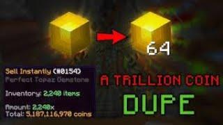 Skyblock Hypixel Mod Dupe Item