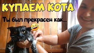 Купаем кота На даче в летнем душе Жара +50