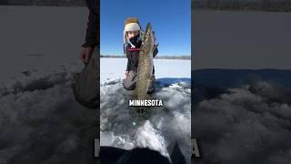 Catching The NORTHERN PIKE!