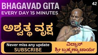 Bhagavad Gita by Brahmanyacharya |15 minutes Everyday | ಅಶ್ವತ್ಥ ವೃಕ್ಷ