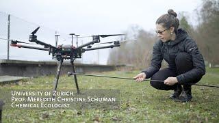 Women in Science: Meredith Christine Schuman, Chemical Ecologist