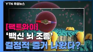 [팩트와이] '백신 뇌 조종' 결정적 증거 나왔다? / YTN