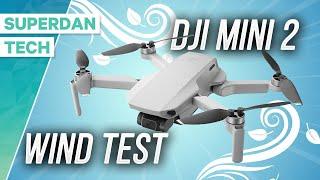 dji Mini 2 Wind Test | Can it handle a strong wind???