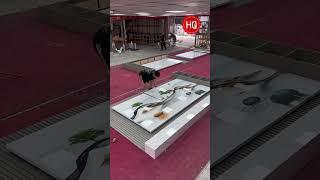 Suspended sintered stone TV wall#tvwall #walldecor #wallpanels #buildingmaterials #homedesign