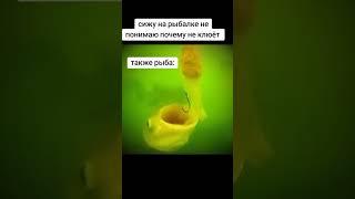 Рыбалка #удочка #fishing  #рекомендации #рыбалка