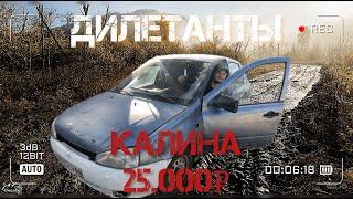 Дилетанты Калина за 25.000 рублей! На сколько она плохая и сколько заработали