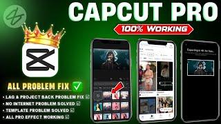 Easy Way To Fix Capcut Effect No Internet Connection Problem | Capcut No Internet Problem