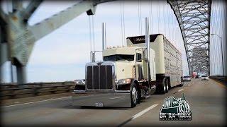 Phil Miller Livestock - Rolling CB Interview™