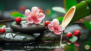 Relaxing Piano Music & Nature Sounds | Calm Music, Meditation Music, Work, Bamboo #live17