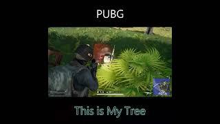 [PUBG] This is My Tree #pubg #pubgshorts