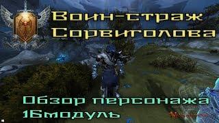 Обзор моего персонажа!!!Воин-страж (Сорвиголова ДД).M16.