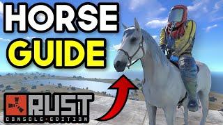 Horse and Equipment Guide - Rust Console Edition | Horsepocalypse Update