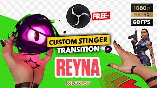 Reyna Blind and Ultimate Green Screen Transition + Alpha Free Download Full HD 60 Fps