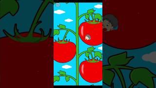 Lazy boy farming tomatoes  somebody help his #shorts #gameplay #gaming #youtubeshorts