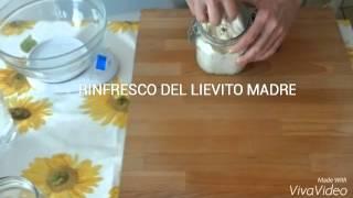 Rinfresco del lievito madre