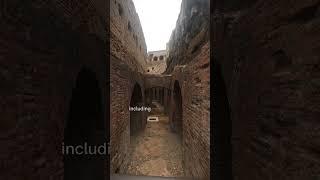 Secret Underground Tour of the Roman Colosseum #italy #travel #travelvlog