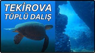 Kemer Three Islands Scuba Diving | Turtle Reef Dive Site | Scuba Diving