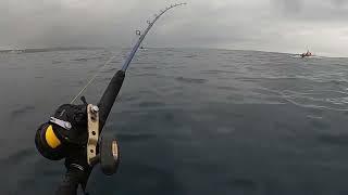 DORADO / MAHI MAHI FISHING OFF UMHLANGA BARGE