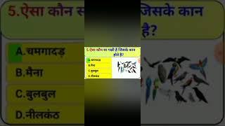 GK question live GKloveryt faster video normal motion