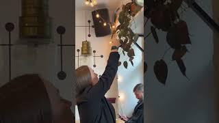 Это было не просто смело  (имею ввиду спросить у официанта, можно ли отщепнуть #черенок) 