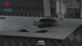 PENTA Smart Anti collision with SM Software
