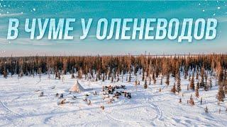 Как живут оленеводы в тундре? Экспедиция на Рай-Из