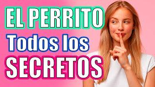 A4 ¡TODOS los Secretos que NO SABES!