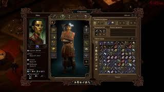 Pillars Of Eternity 2: Deadfire - Спутники в игре