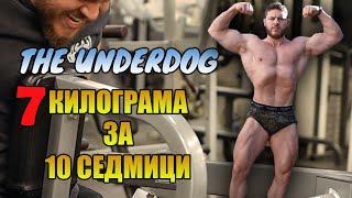 Update - Основен период - The Underdog