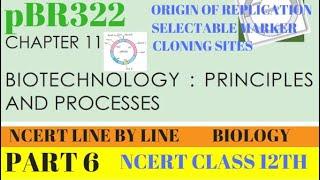 PART-6 PBR322||BIOTECHNOLOGY PRINCIPLES AND PROCESSES||CLASS 12TH BIOLOGY CHAPTER 11 NCERT