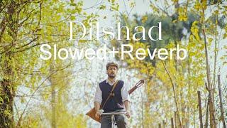 Dilshad|Slowed+Reverb|Official Music song)|Hazik Music. #dilshad