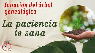 La paciencia te sana. Sanación del árbol genealógico | Misión Ruah