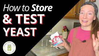 How to Store Yeast & TEST If Its Active