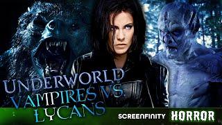 The War Between Vampires vs. Lycans (Underworld Franchise) | Screenfinity Horror