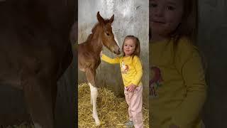 Grateful she got to read to her foal  #horse #equestrian #horselover #farming