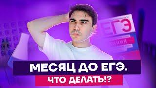 Месяц до ЕГЭ. Что делать?! | Химия ЕГЭ 2022 | Умскул