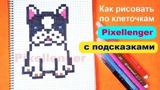 Как рисовать по клеточкам Собаку Щенка Бульдога  Простые рисунки How to Draw Dog Puppy Pixel Art