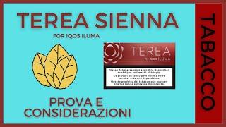 Terea Sienna | tabacco gustoso