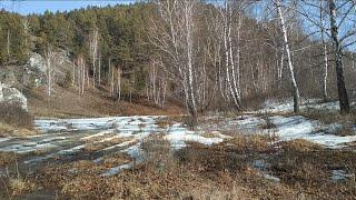 Журчат ручьи... (с. Боград, Хакасия) 19.03.2023г