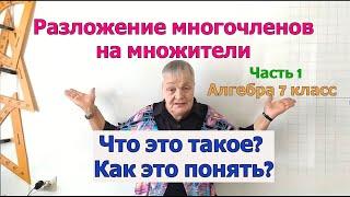 Что такое разложение многочленов на множители. Как разложить одночлен на множители. Алгебра 7 класс.