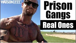 Prison Gangs- Real Ones