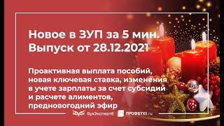  Проактивная выплата пособий 2022, изменения в учете зарплаты за счет субсидий и расчете алиментов