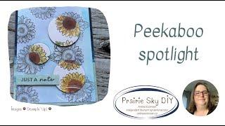 Peekaboo spotlight
