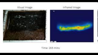 Smouldering peat experimental burn (100% moisture content)