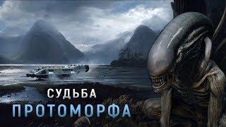 СУДЬБА ПРОТО-ЧУЖОГО | ТЕОРИЯ. ЧУЖОЙ: ПРОБУЖДЕНИЕ 2019