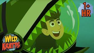 Deep Sea Adventures  | Sharks, Fish, and Frogs with Wild Kratts | 9 Story Kids