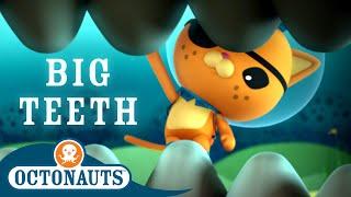 Octonauts - Big Teeth | Cartoons for Kids | Underwater Sea Education